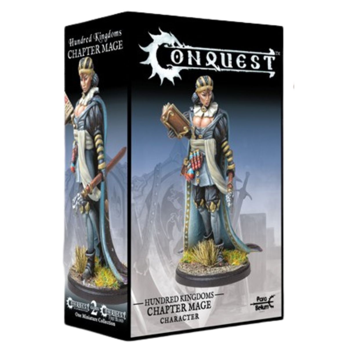 Conquest Hundred Kingdoms Chapter Mage