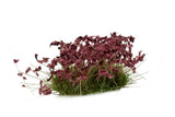 Gamers Grass Dark Purple Flowers Wild