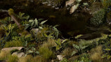 Gamers Grass Laser Plants - Lords-and-Ladies