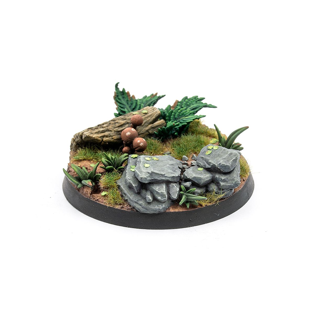 AK Interactive PLANTS FOREST MUSHROOMS