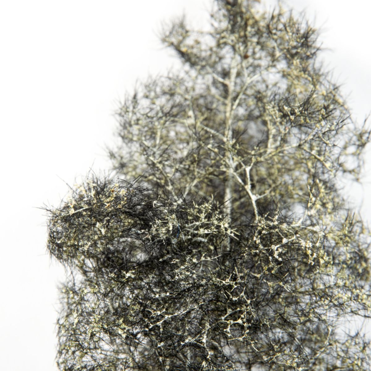 AK Interactive Vegetation BLACK-WHITE FANTASY BUSHES