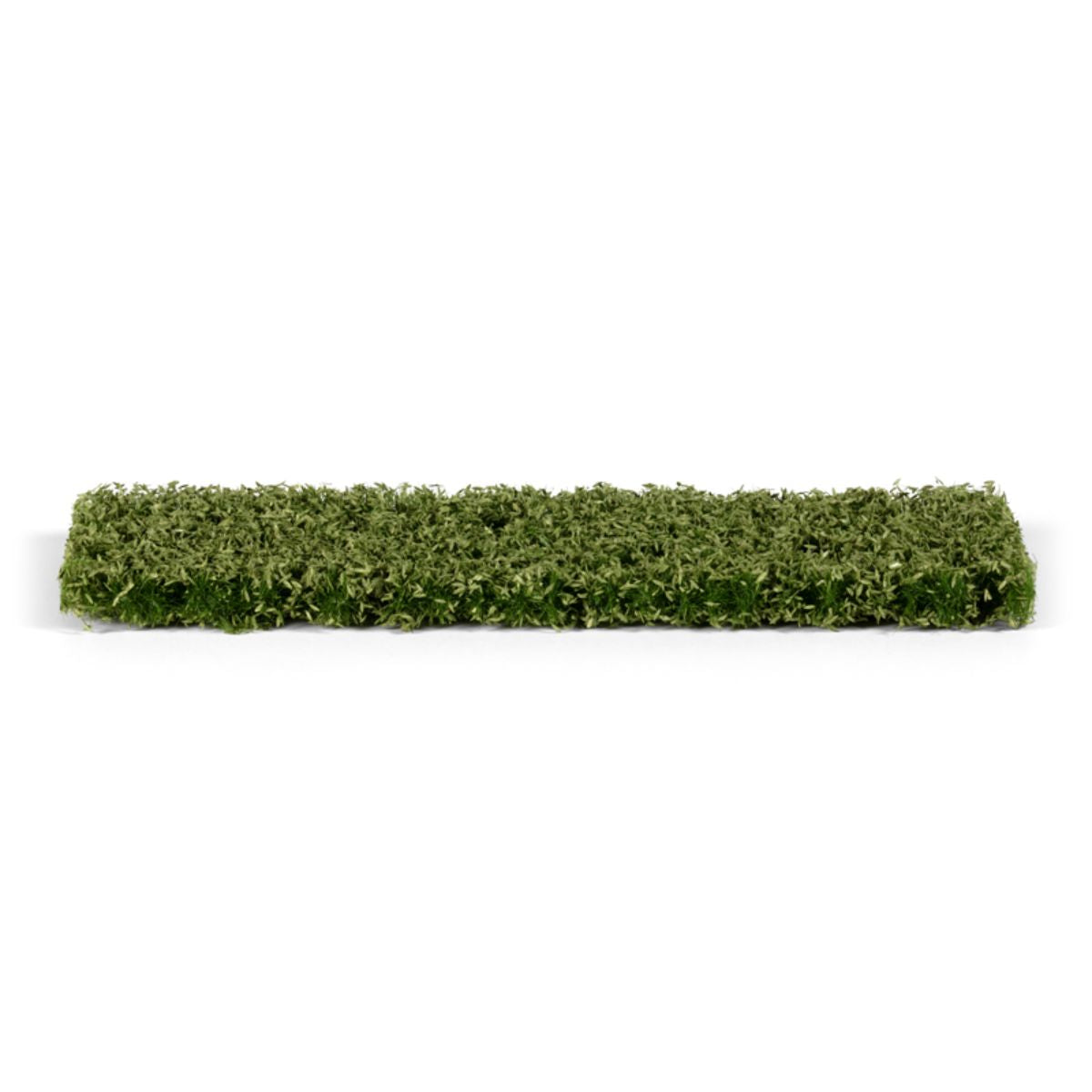 AK Interactive Vegetation Leaves and Shrubberry Foliage (Elongated)