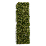 AK Interactive Vegetation Platane Foliage Summer