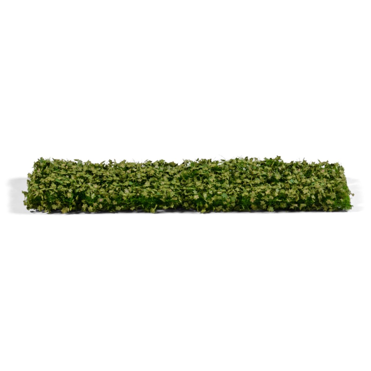 AK Interactive Vegetation Platane Foliage Summer