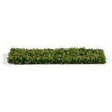 AK Interactive Vegetation Platane Foliage Summer