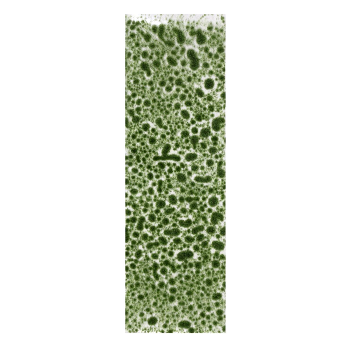 AK Interactive Vegetation Realistic green moss