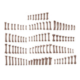 AK Interactive WARGAME SCENERY HUMAN BONES