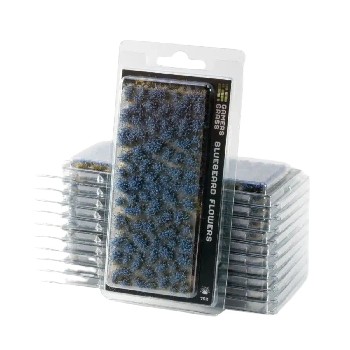 Gamers Grass Bluebeard Flowers