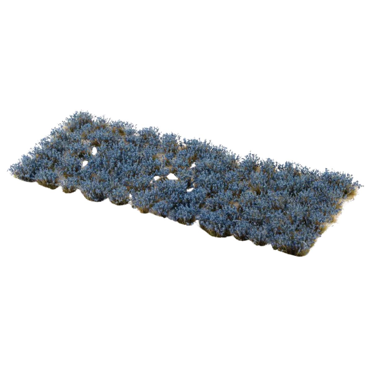 Gamers Grass Bluebeard Flowers