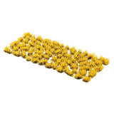 Gamers Grass Broom Flowers