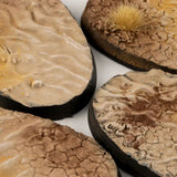 Gamers Grass Deserts of Maahl Bases, Oval 60mm (x4)