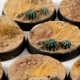 Gamers Grass Deserts of Maahl Bases, Round 28mm (x8)
