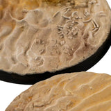 Gamers Grass Deserts of Maahl Bases, Round 60mm (x2)