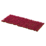 Gamers Grass Garnet Tulip Tiny Flowers