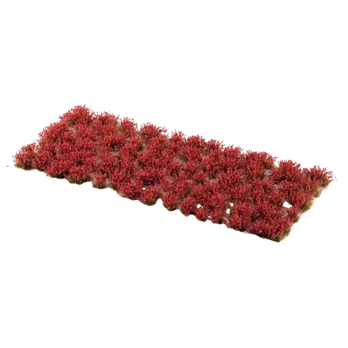 Gamers Grass Laliguras Flowers