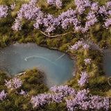 Gamers Grass Lavender Flowers