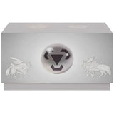 Pokémon Radiant Energy Gift Box Metal Chinesisch