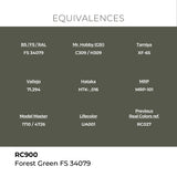 AK Interactive REAL COLORS Forest Green Fs 34079 17 ml.