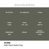 AK Interactive REAL COLORS Raf Dark Slate Grey 17 ml.