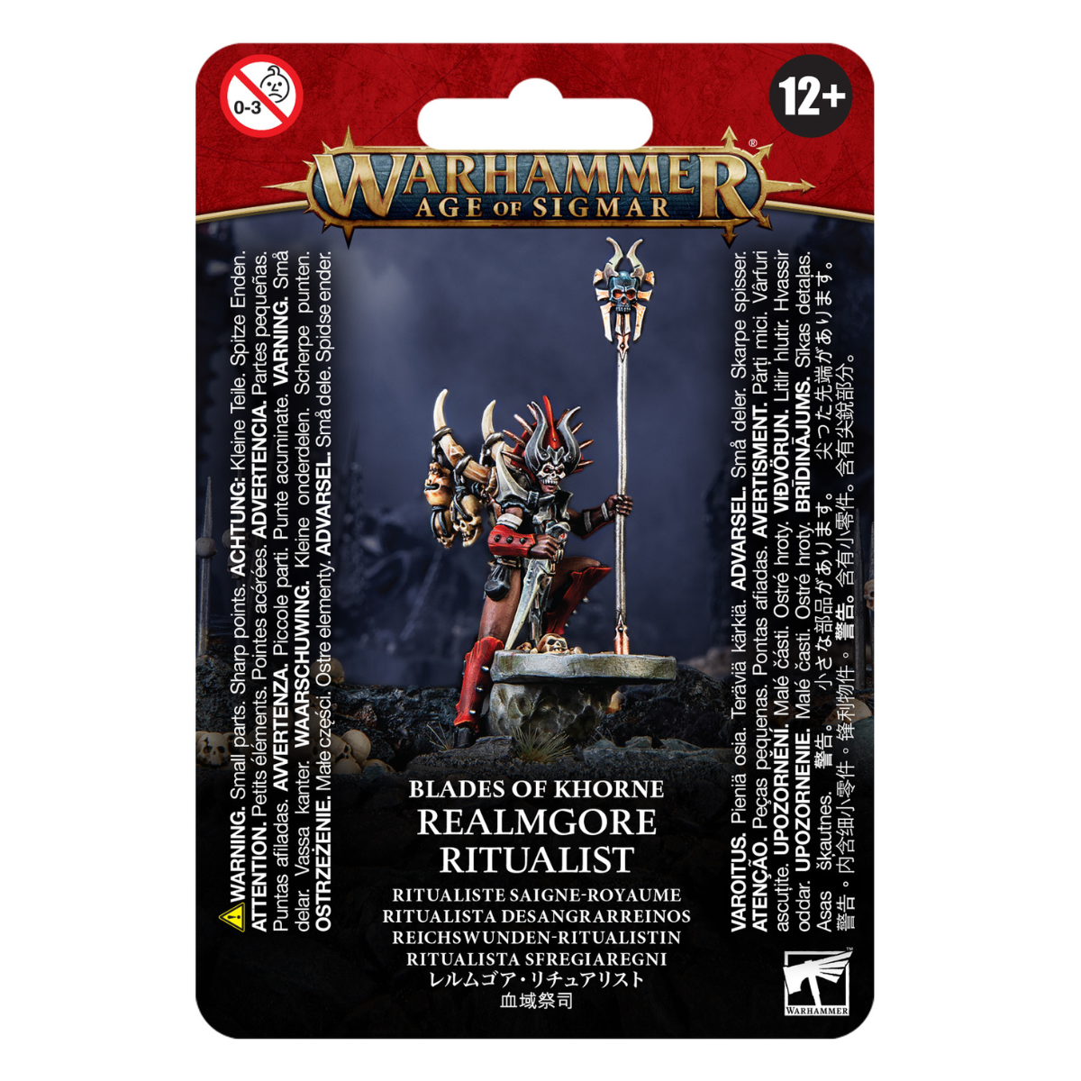 Warhammer Age of Sigmar Blades of Khorne Realmgore Ritualist